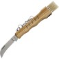 Preview: Mercury mushroom knife with olive wood handle